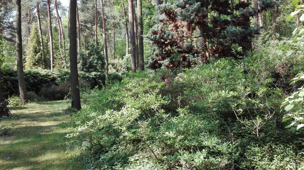 Villa Le Matin Konstancin-Jeziorna Eksteriør bilde